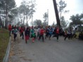 /album/corta-mato/dsc09646-jpg/